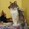 Отзыв от Лилия Игнатьева